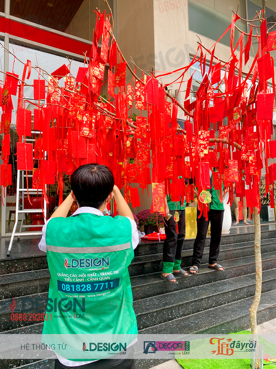 Wishing Tree Project - Saigon Bac Lieu