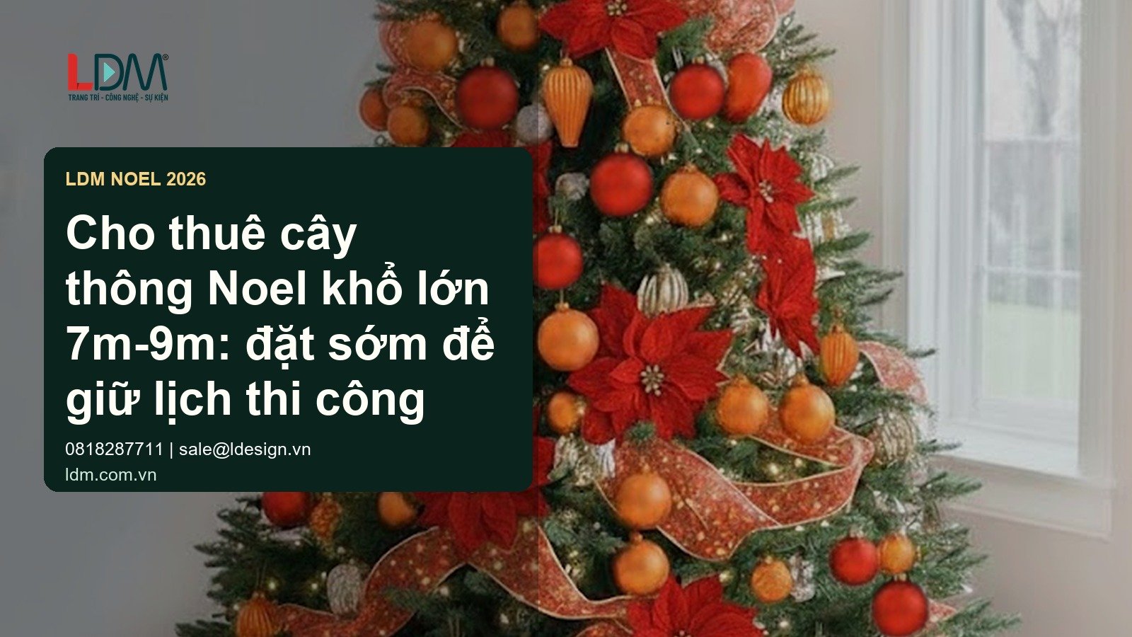 Cho thuê cây thông Noel khổ lớn 7m-9m: đặt sớm để giữ lịch thi công