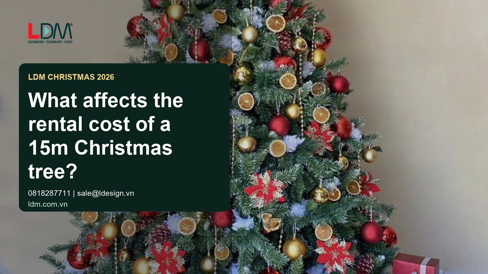 What affects the rental cost of a 15m Christmas tree?