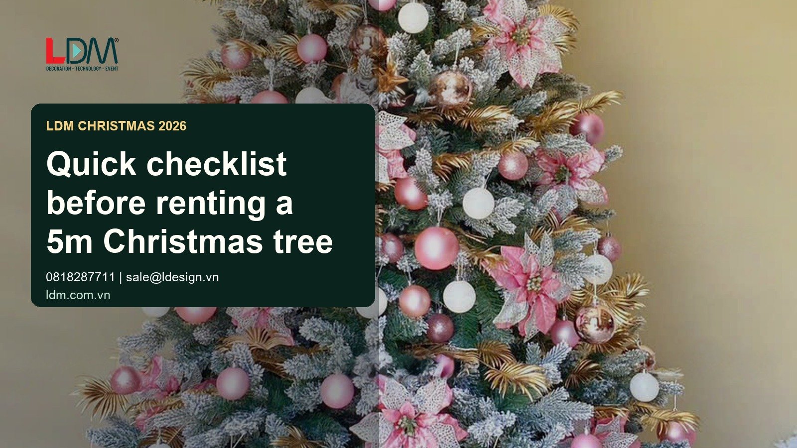Quick checklist before renting a 5m Christmas tree