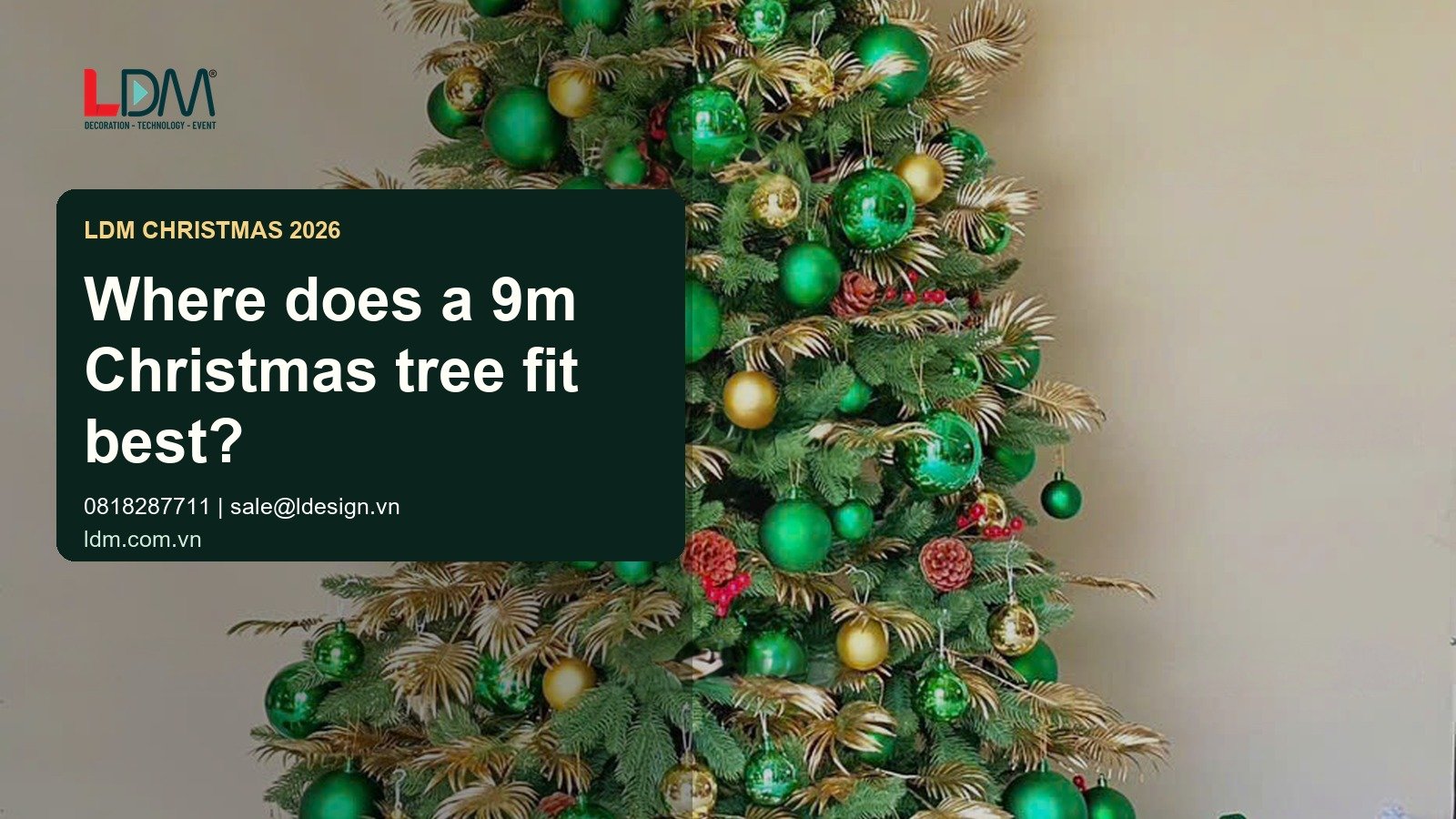LDM banner using the correct Christmas tree image set for Where does a 9m Christmas tree fit best?