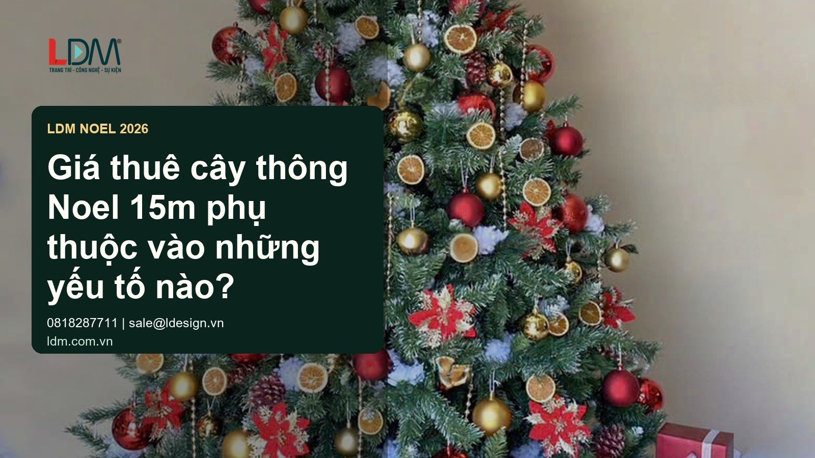 Banner LDM dùng ảnh cây thông Noel đúng bộ cho bài Giá thuê cây thông Noel 15m phụ thuộc vào những yếu tố nào?