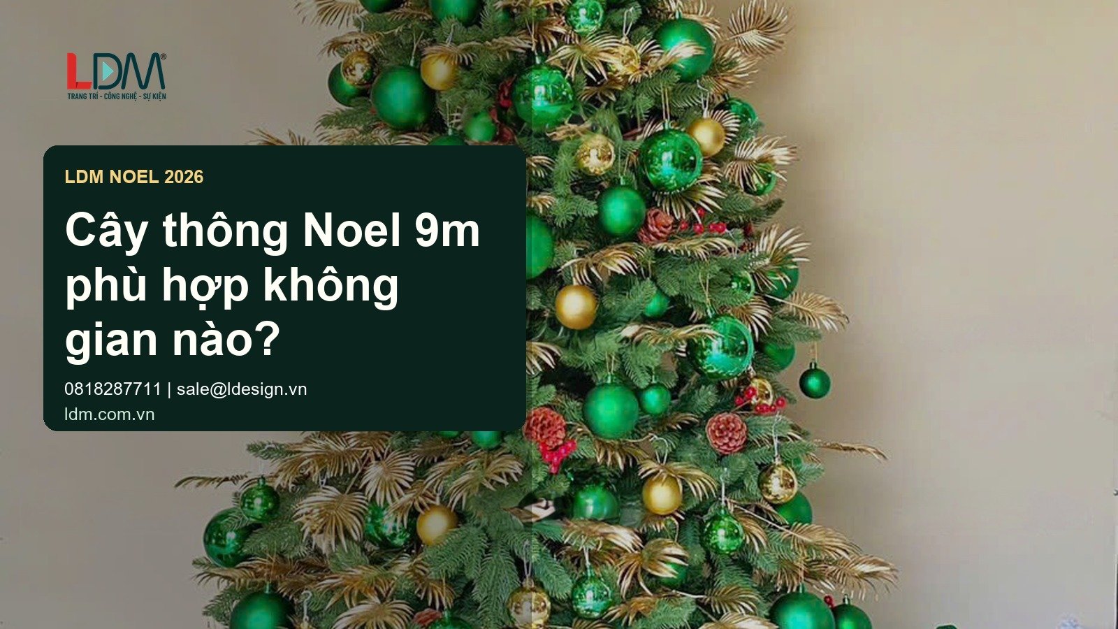 Banner LDM dùng ảnh cây thông Noel đúng bộ cho bài Cây thông Noel 9m phù hợp không gian nào?
